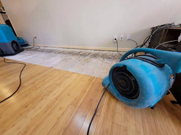 Professional Structural Drying technician working in Preston, ID